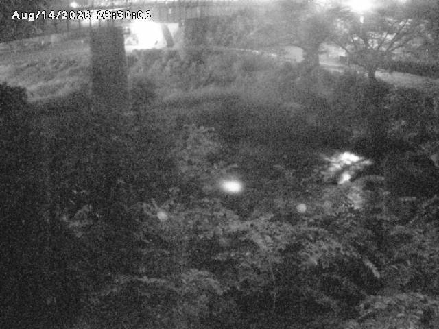 日野川１０2026/08/15 2:20:00