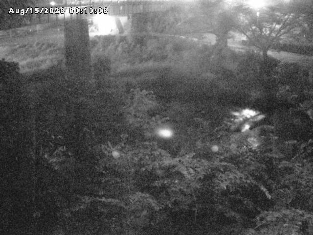 日野川１０2026/08/15 2:20:00