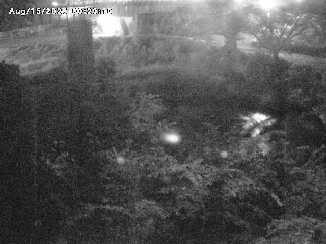 日野川１０2026/08/15 2:20:00