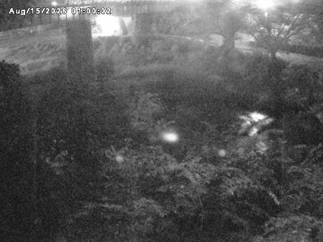 日野川１０2026/08/15 2:20:00