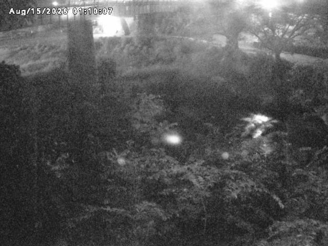 日野川１０2026/08/15 2:20:00