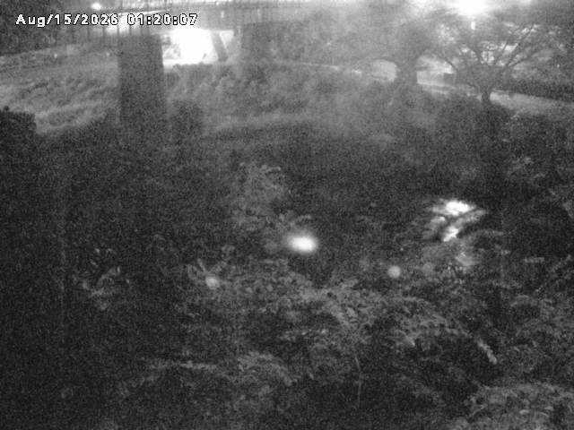日野川１０2026/08/15 2:20:00