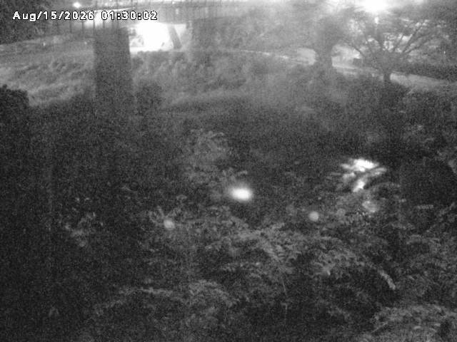日野川１０2026/08/15 2:20:00