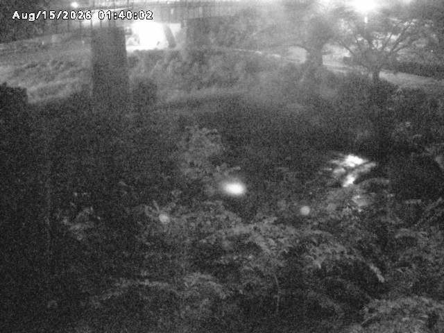 日野川１０2026/08/15 2:20:00