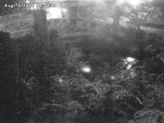 日野川１０2026/08/15 2:20:00