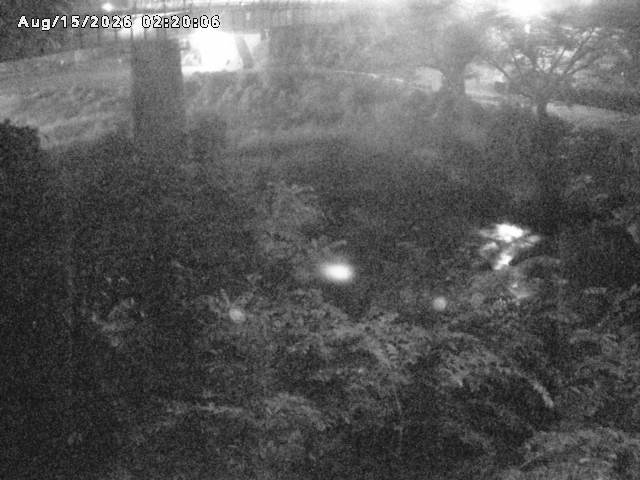 日野川１０2026/08/15 2:20:00