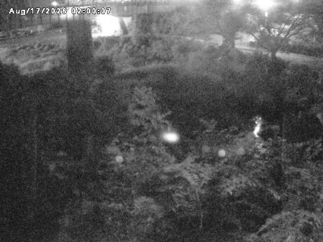 日野川１０2026/08/18 1:50:00