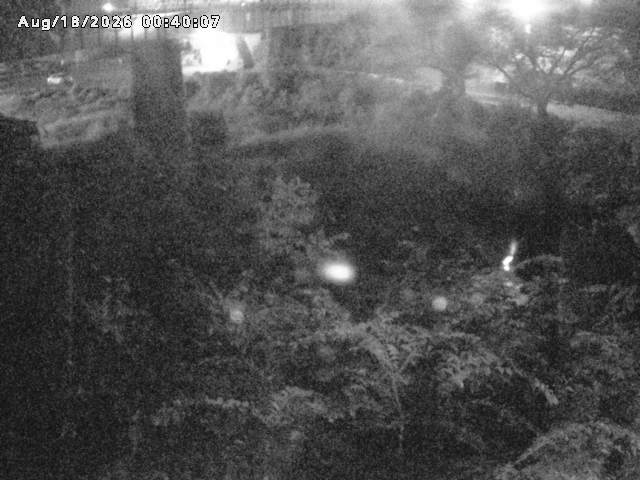 日野川１０2026/08/18 1:50:00