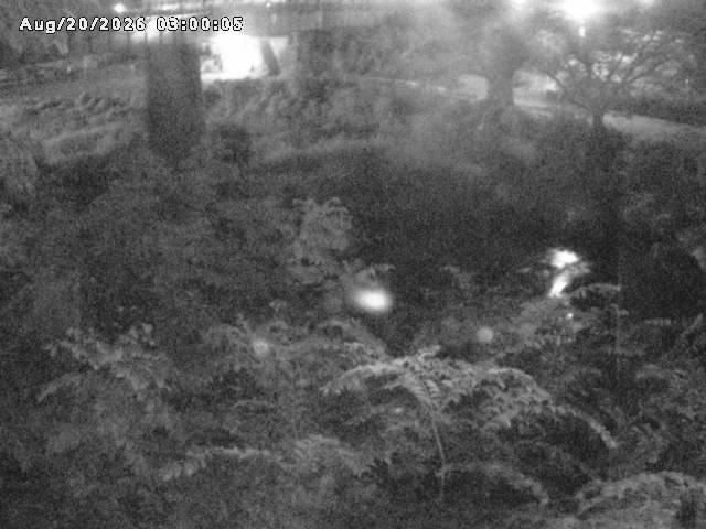 日野川１０2026/08/21 2:40:00