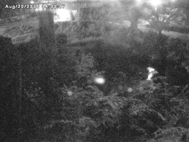 日野川１０2026/08/21 2:40:00