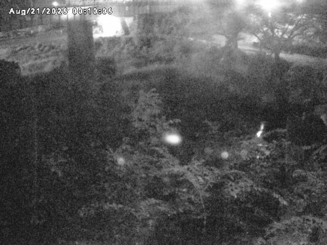 日野川１０2026/08/21 2:40:00