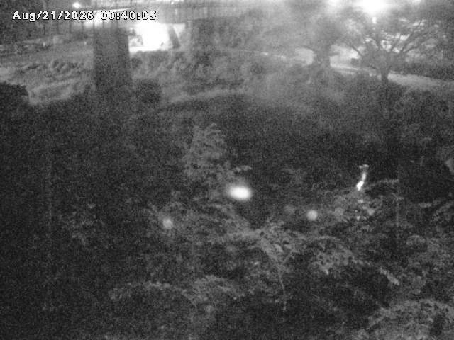 日野川１０2026/08/21 2:40:00