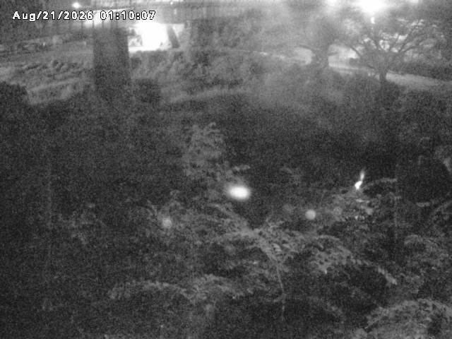 日野川１０2026/08/21 2:40:00