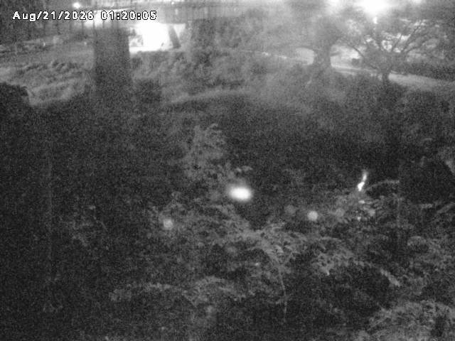 日野川１０2026/08/21 2:40:00