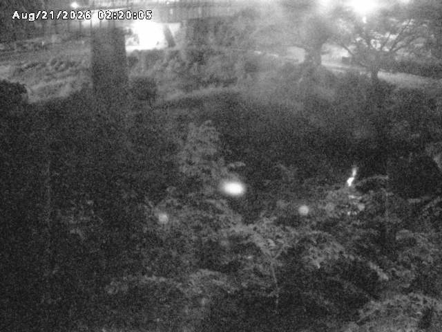 日野川１０2026/08/21 2:40:00