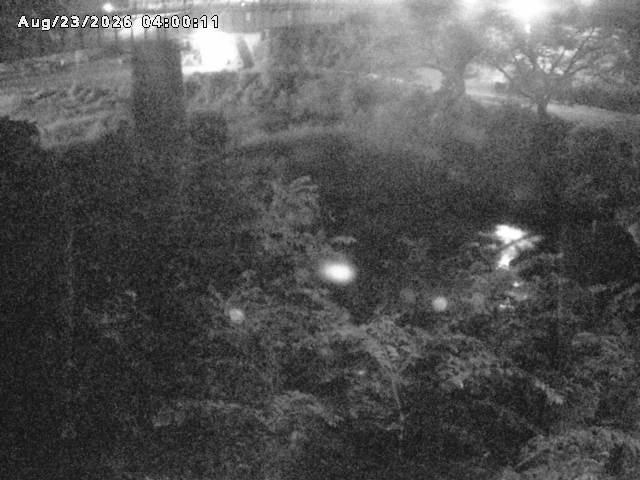 日野川１０2026/08/24 4:00:00