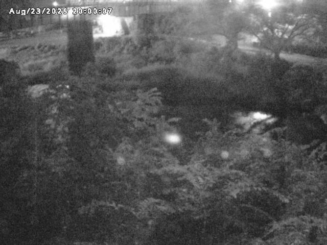 日野川１０2026/08/24 4:00:00