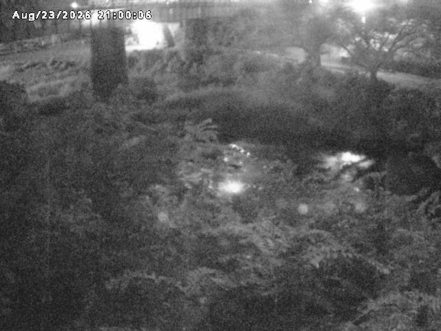 日野川１０2026/08/24 4:00:00