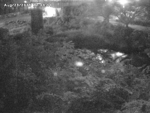 日野川１０2026/08/24 4:00:00