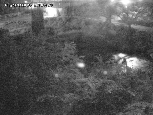 日野川１０2026/08/24 4:00:00