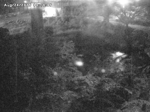 日野川１０2026/08/24 4:00:00