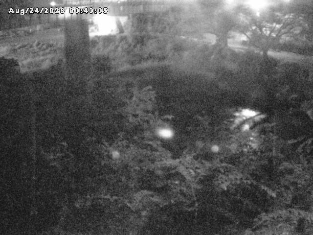 日野川１０2026/08/24 4:00:00