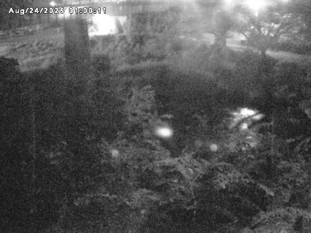 日野川１０2026/08/24 4:00:00