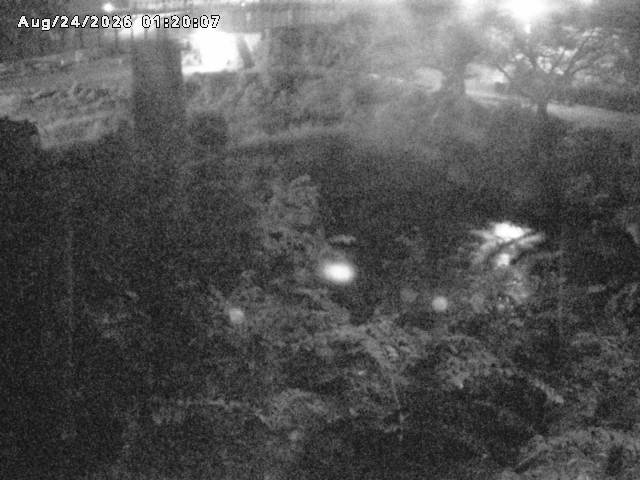 日野川１０2026/08/24 4:00:00