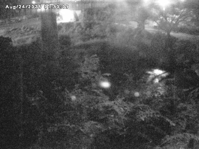 日野川１０2026/08/24 4:00:00