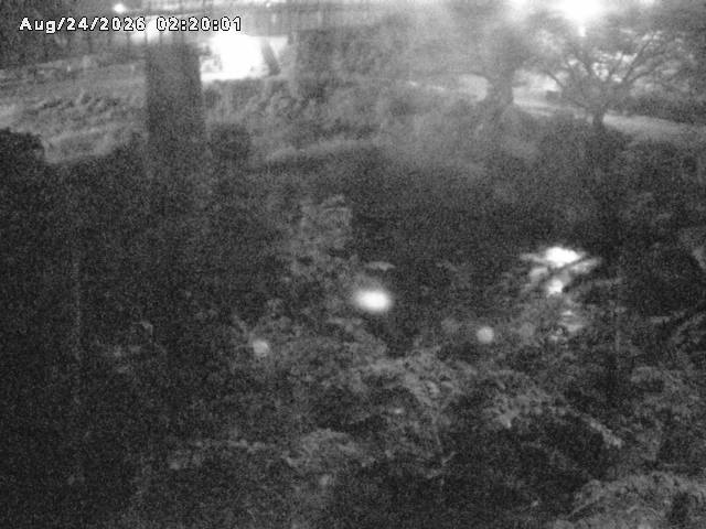 日野川１０2026/08/24 4:00:00