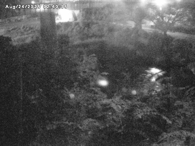 日野川１０2026/08/24 4:00:00