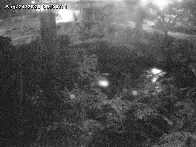 日野川１０2026/08/24 4:00:00