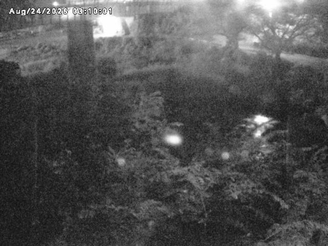 日野川１０2026/08/24 4:00:00