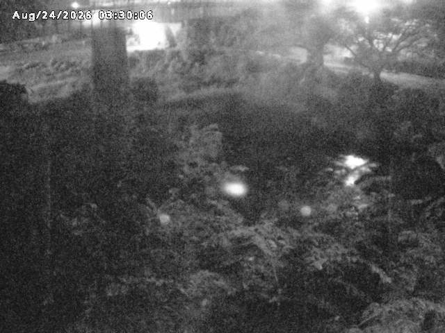 日野川１０2026/08/24 4:00:00