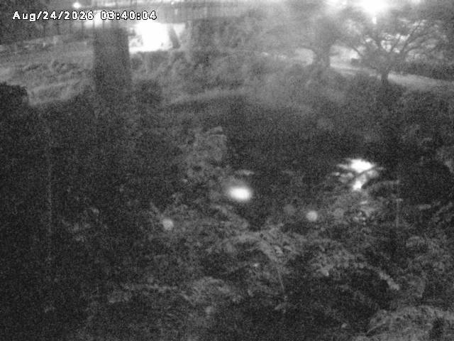 日野川１０2026/08/24 4:00:00