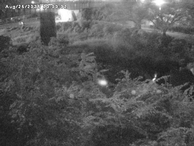 日野川１０2026/08/27 5:20:00