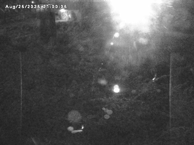 日野川１０2026/08/27 5:20:00