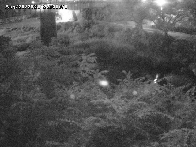日野川１０2026/08/27 5:20:00