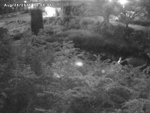 日野川１０2026/08/27 5:20:00