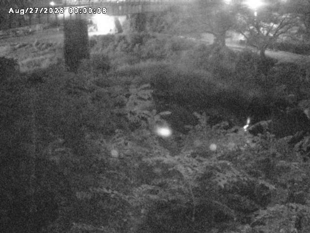 日野川１０2026/08/27 5:20:00