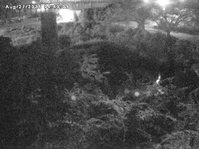 日野川１０2026/08/27 5:20:00