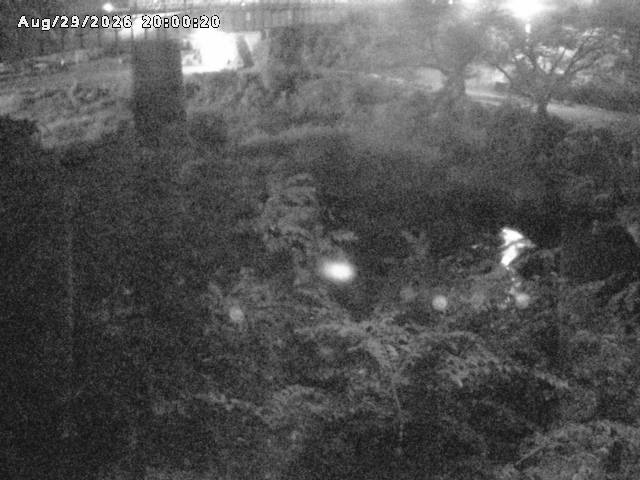 日野川１０2026/08/30 6:40:00