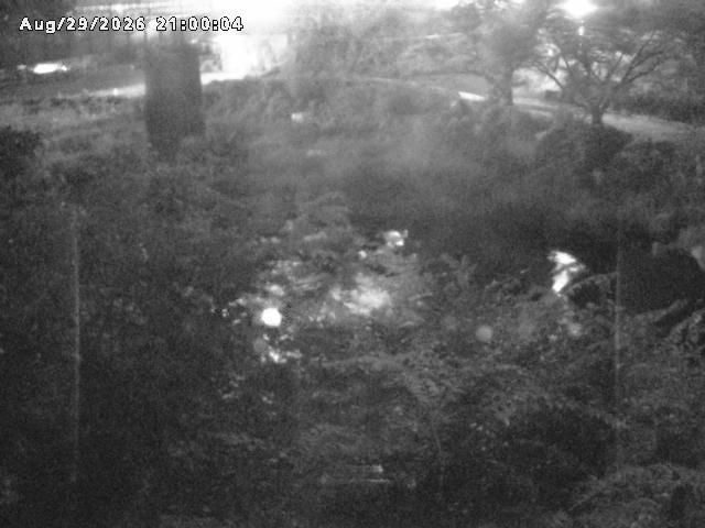 日野川１０2026/08/30 6:40:00