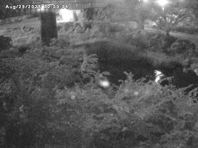 日野川１０2026/08/30 6:40:00