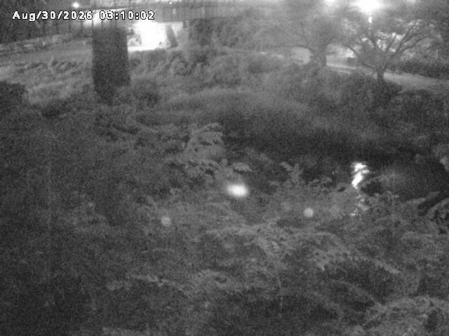 日野川１０2026/08/30 6:40:00