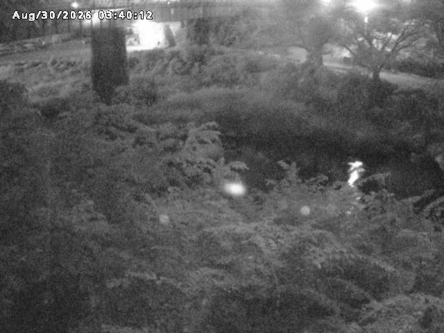 日野川１０2026/08/30 6:40:00