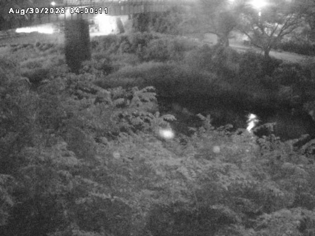 日野川１０2026/08/30 6:40:00