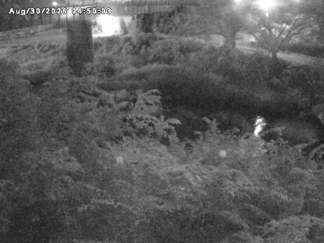 日野川１０2026/08/30 6:40:00