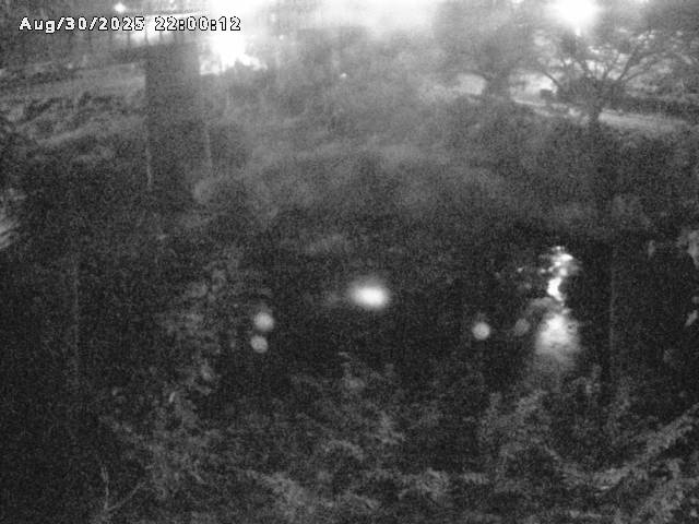 日野川１０2025/08/31 11:20:00