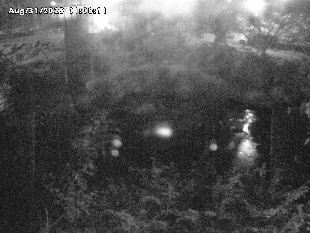 日野川１０2025/08/31 11:20:00